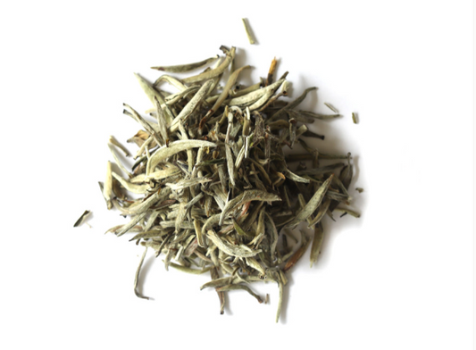 Silver Needle White Tea